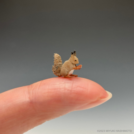 Image of Miniature Squirrel