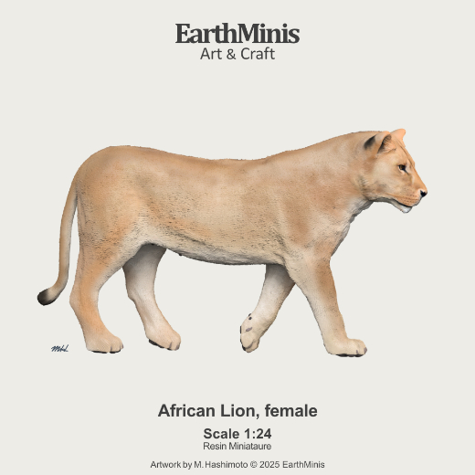 Image of African Lion