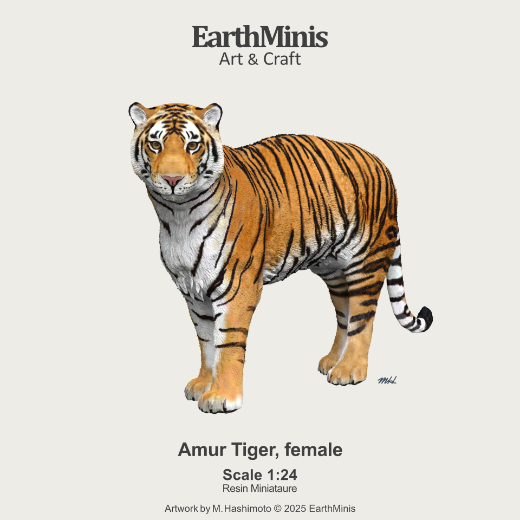 Image of Amur Tiger  Miniature