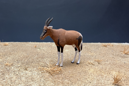 Image of Topi  Miniature