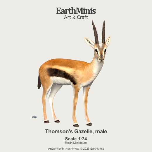 Image of Topi Miniature